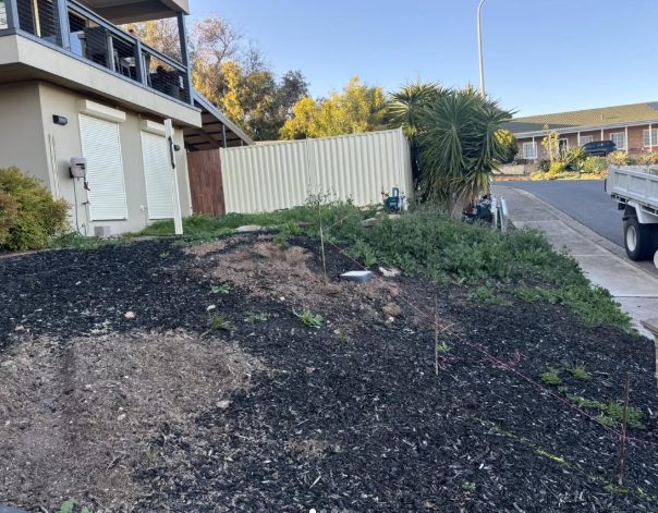 Hallett Cove site, before work commenced